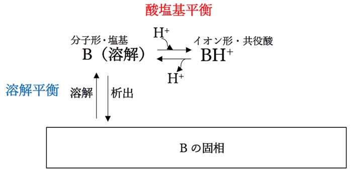 薬学　物理・薬剤　酸塩基平衡　弱塩基性物質におけるpHの変化に対する溶解度の変化